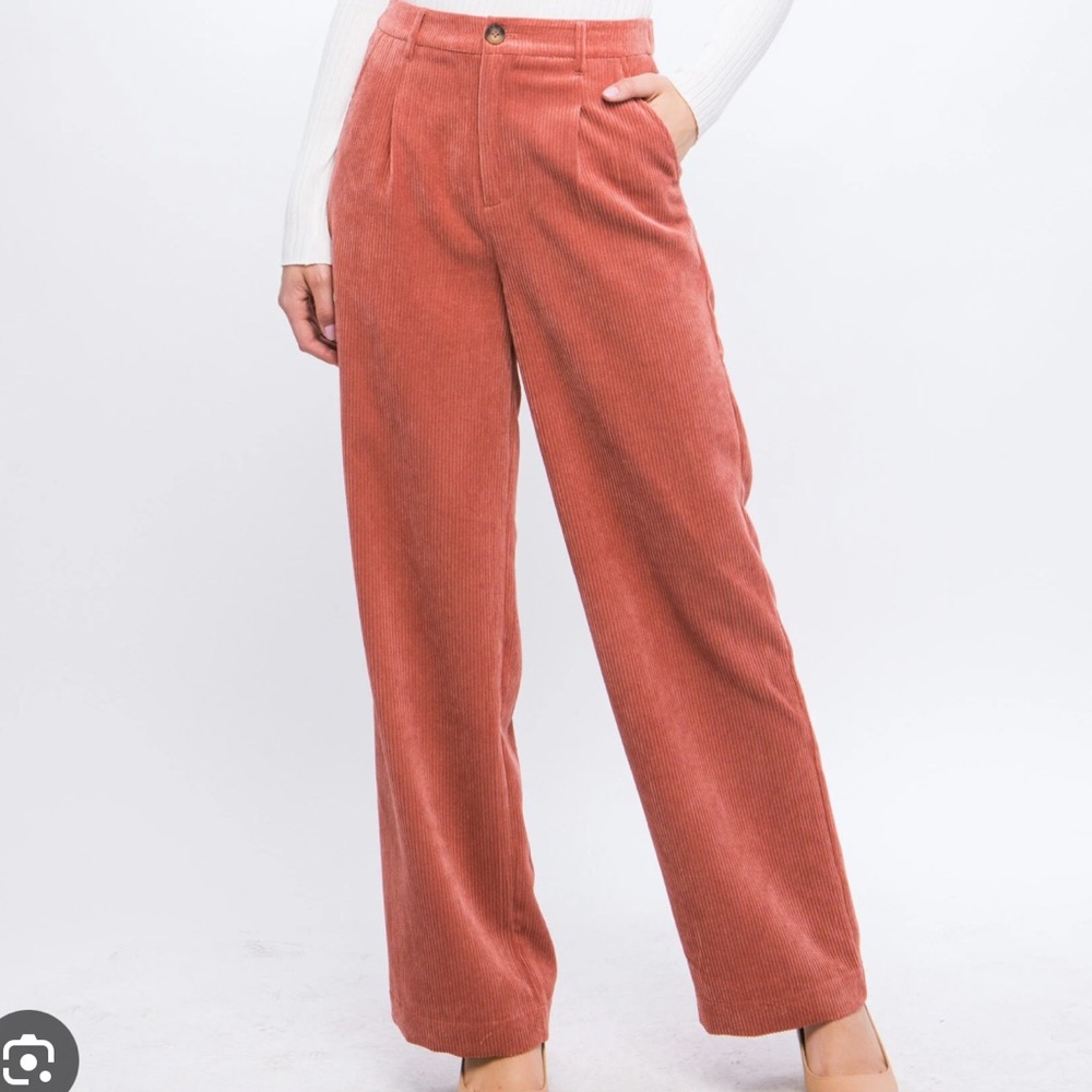 BANANA REPUBLIC RIVOLI PLEATED CORDUROY PANT SIZE: 6